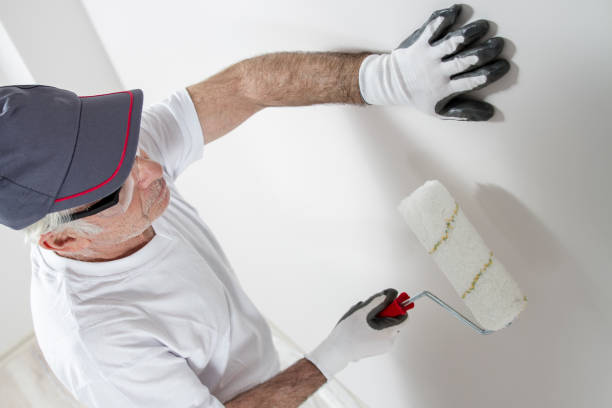 Best Mold Damage Restoration  in Bel Air South, MD