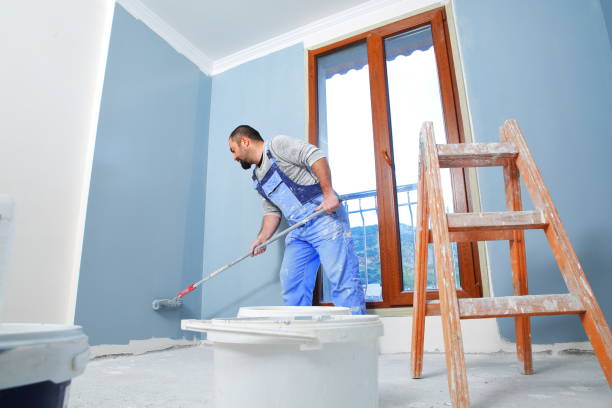 Trusted Bel Air South, MD Mold Removal Experts