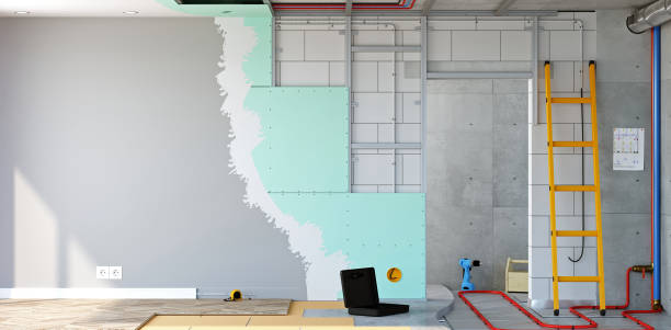 Best Basement Mold Removal  in Bel Air South, MD