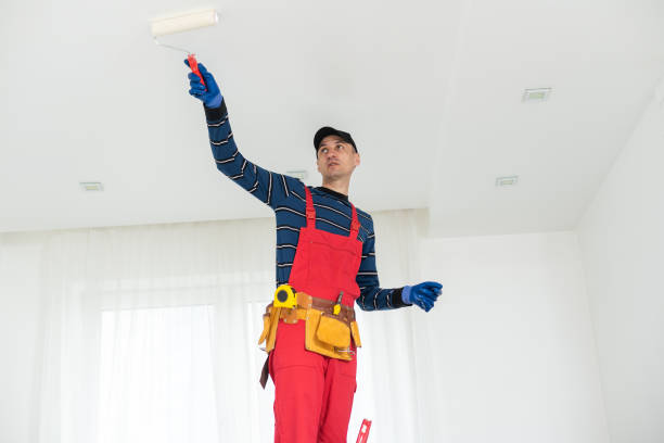 Best Mold Prevention Services  in Bel Air South, MD