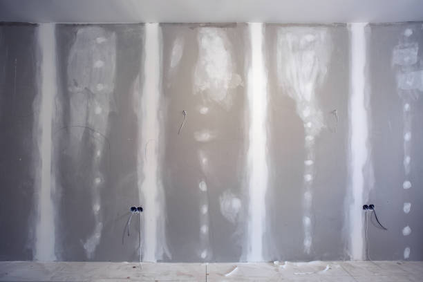 Mold Remediation for Vacation Homes in Bel Air South, MD